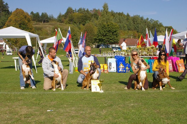 www.boxer-show.eu